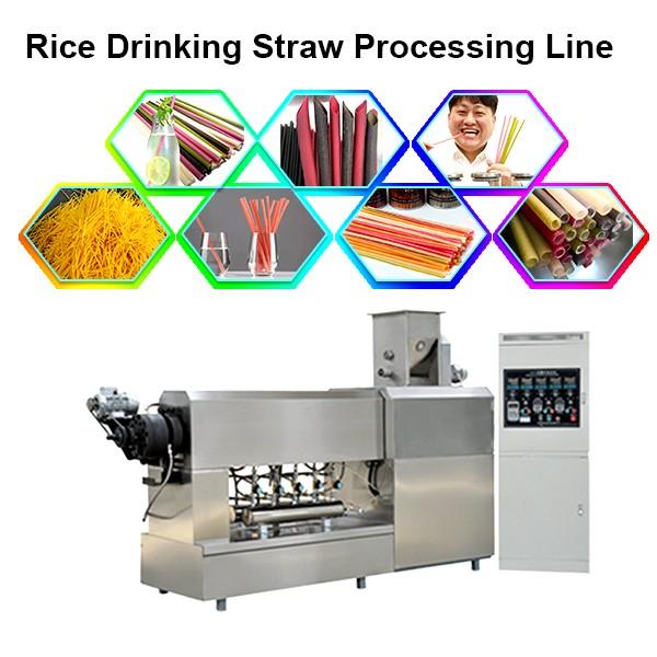 Environmental Strow Pasta Rice Straw Making Equipment Machine for Drinking #1 image