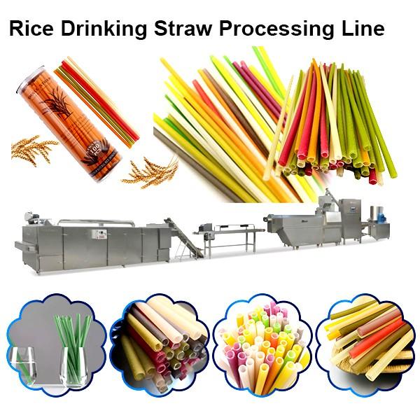 Edible Rice Straw Machine Extruder #1 image