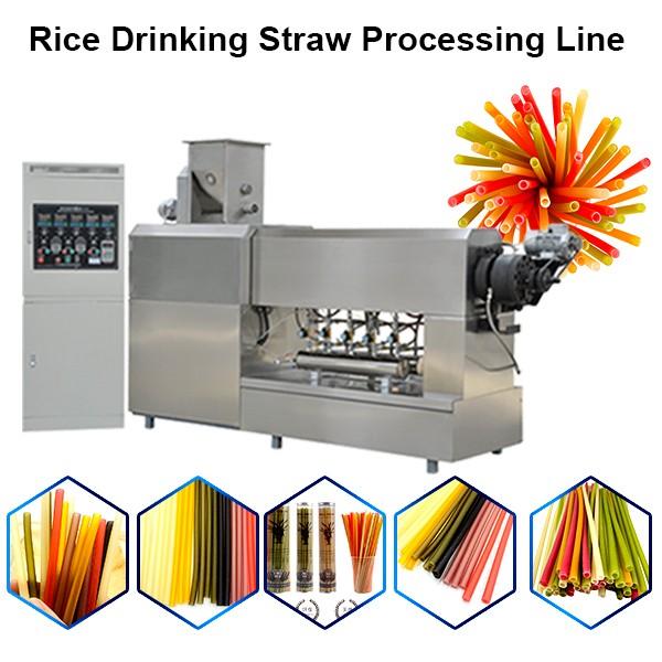 Automatic Drinking Straw Extruder #1 image