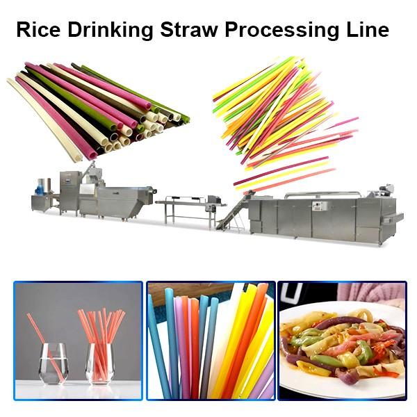 Full Automatic Eco-Friendly Edible Pasta Drinking Straw Making Machine / Disposable Straw Machine #1 image