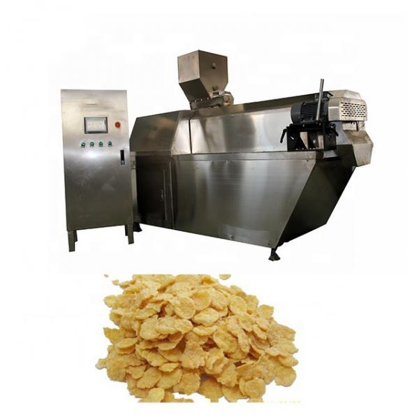 Automatic Industrial Breakfast Cereal Snack Corn Flakes Production Line #1 image