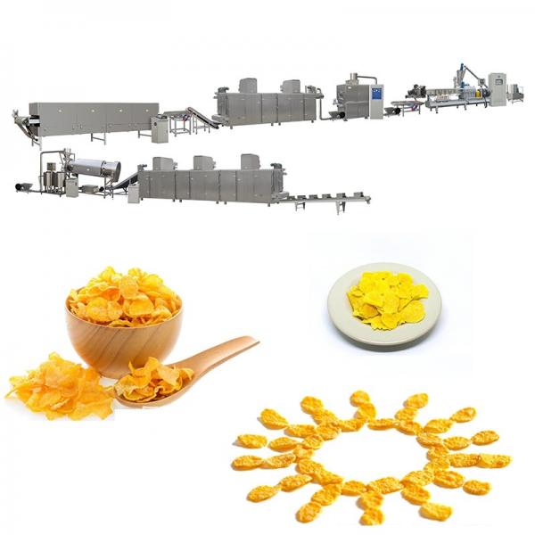 Automatic Twin Screw Extruder Sugar Coated Crunchy Corn Flakes Cereal Production Line #1 image