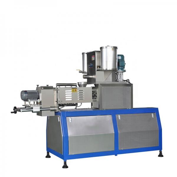 Hot Sale Corn Flakes Cereal Production Line of China Manufacture #1 image