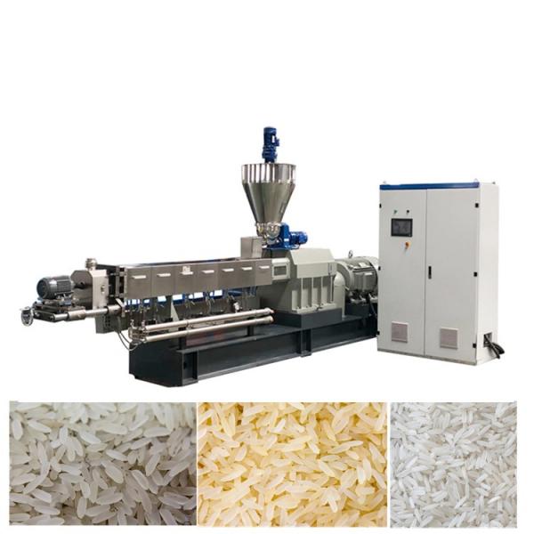 China Artificial Nutritional Rice Production Making Machine/Machinery Manufacturer #1 image