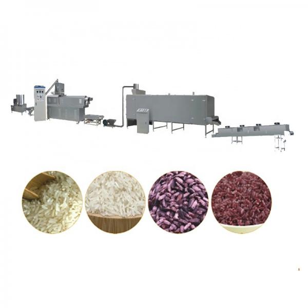 Artificial Rice Nutritional Rice Extruder Food Production Machine #1 image