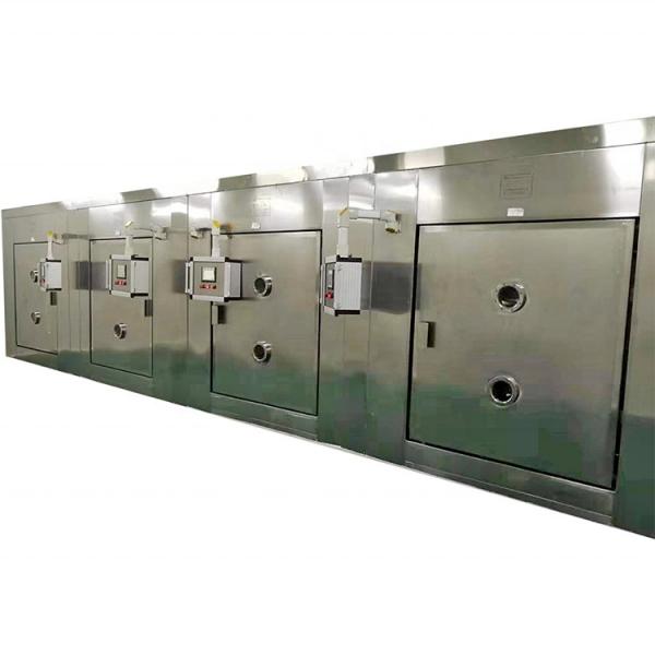 Continuous Tunnel Type Microwave Dryer and Sterilizing for Chili Powder #2 image