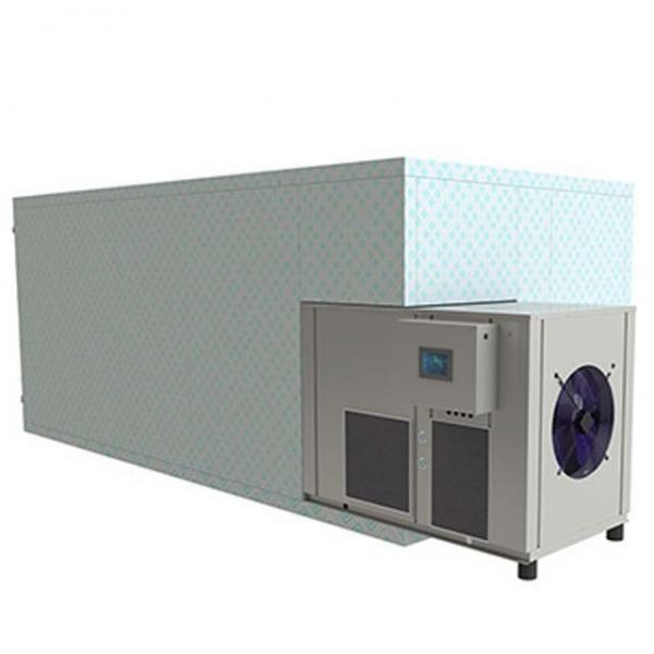 Commercial Continuous Industrial Microwave Tunnel Fruit Leaves Dryer #3 image